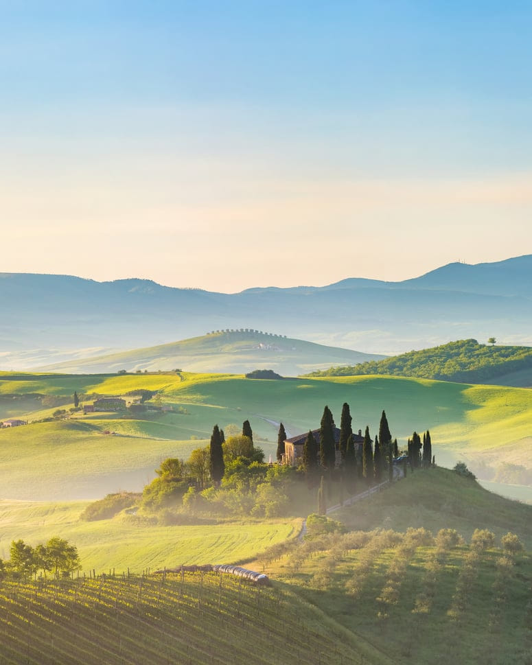 Special Travel Experiences